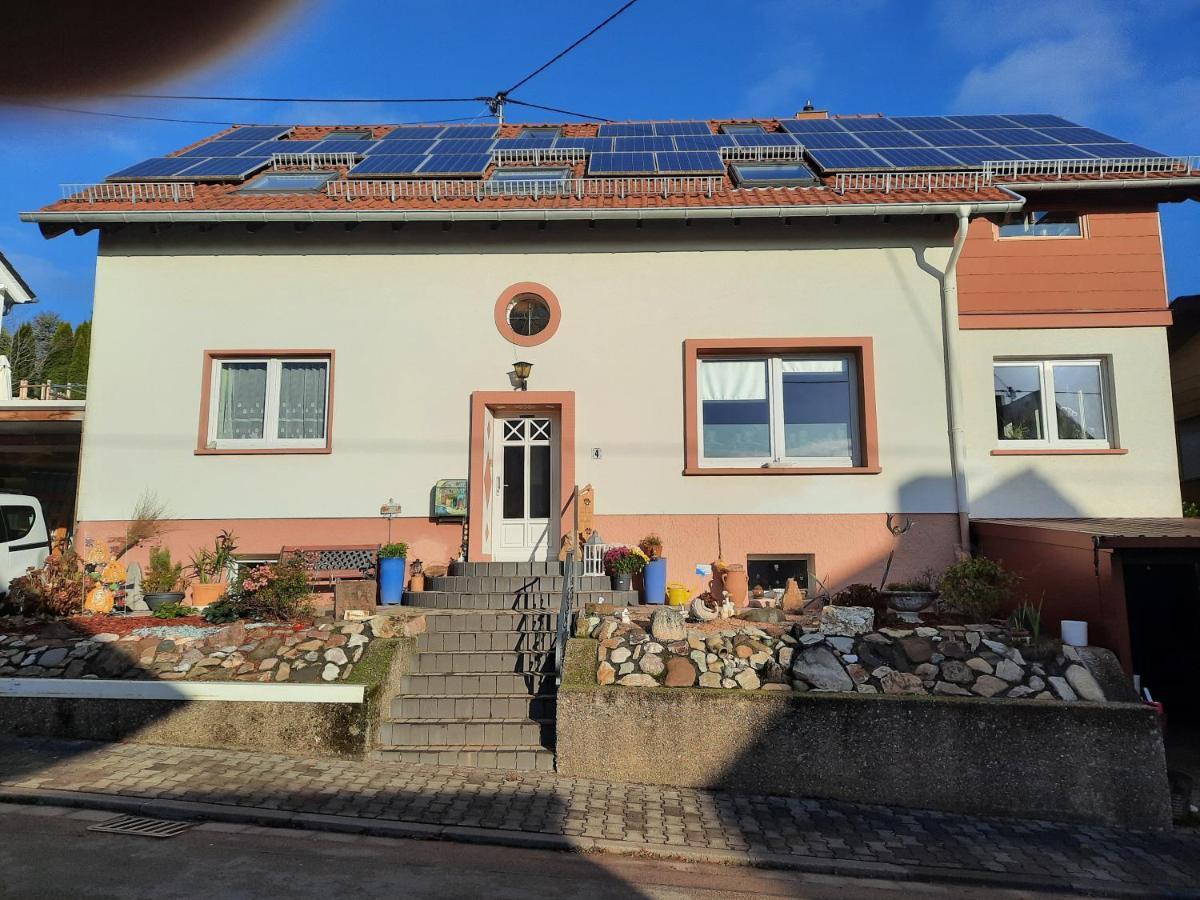 Ferienwohnung Friedel Und Kaethe Oberthal المظهر الخارجي الصورة